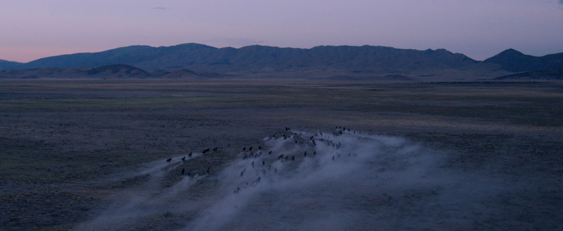 Wild Beauty — film still 7