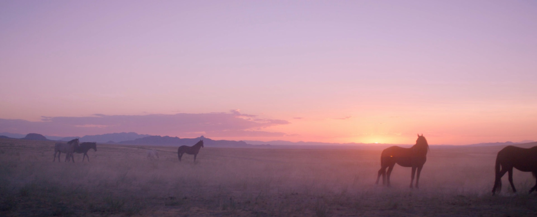 Wild Beauty — film still 10